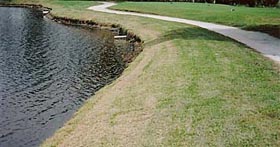 Erosion Control For Golf Courses HOA's & Commercial Development 