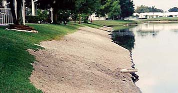 shoreline restoration