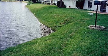 Florida Shoreline Restoration